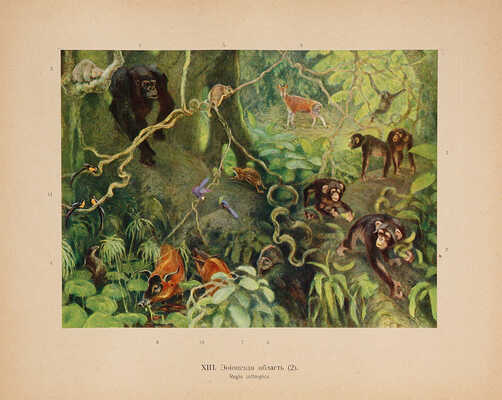 Мензбир М.А. Зоогеографический атлас... М., 1912. 